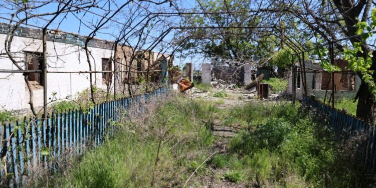 Петрівка: село-примара з живими мешканцями – Херсон