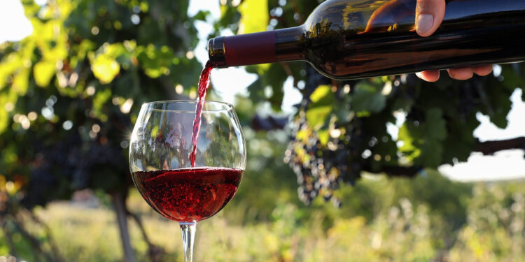 «Пийте, але не впивайтеся»: чи так сказано в Біблії?