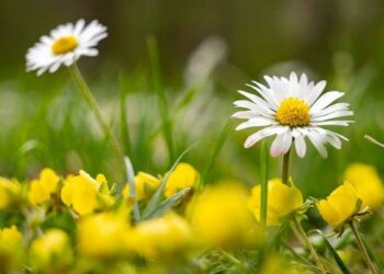 Погода у Запоріжжі – синоптики розповіли про особливості умов у травні | Новости Запорожья
