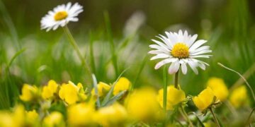 Погода у Запоріжжі – синоптики розповіли про особливості умов у травні | Новости Запорожья