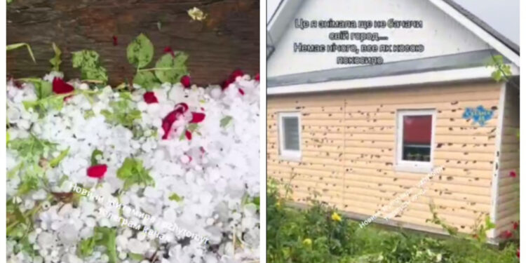 Пошкодженні будинки, авто та городина: частину Житомирщини накрило дощами з градом | Журнал Житомира