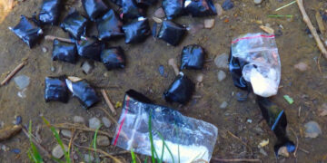 Рідні брати організували «бізнес» з продажу наркотиків на Прикарпатті: зловмисників затримали (ФОТО)