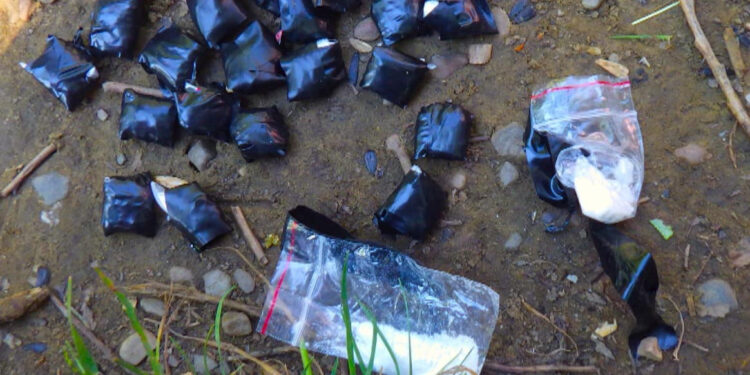 Рідні брати організували «бізнес» з продажу наркотиків на Прикарпатті: зловмисників затримали (ФОТО)