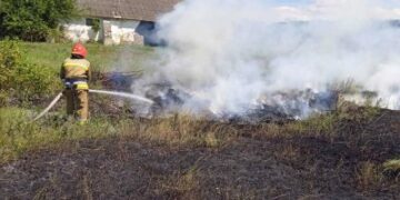 Рятувальники ліквідували 5 пожеж на відкритих територіях » Миколаївський Оглядач