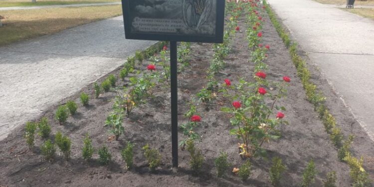 У Нетішині невідомі вчинили таке, що їм “немає виправдання” —Хмельнитчина