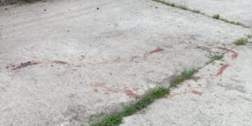 У Нетішині невідомі випустили з вольєрів усіх собак-безхатьків —Хмельнитчина