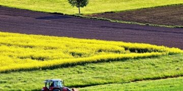 У власність держави повернули землі на Черкащині вартістю 130 мільйонів