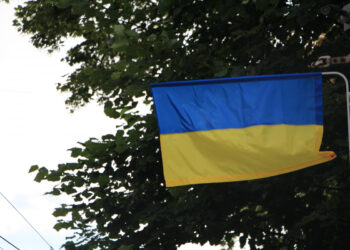 У Запоріжжі прикрашають проспект Соборний до Дня Конституції – що роблять | Новости Запорожья