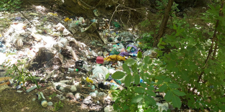 У Запоріжжі виявили чергове сміттєзвалище у Шевченківському районі – коли його приберуть | Новости Запорожья