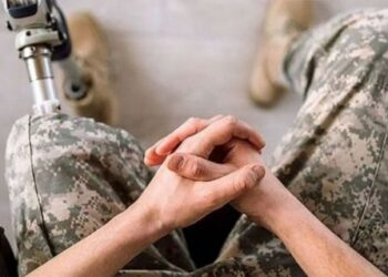 Ветеранів та ветеранок з Черкащини запрошують на безоплатні онлайн-курси англійської мови — Новости Черкасс