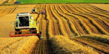 З липня цього року Україна зможе експортувати понад 60 млн тонн агропродукції – Экономика