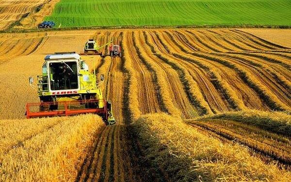З липня цього року Україна зможе експортувати понад 60 млн тонн агропродукції – Экономика