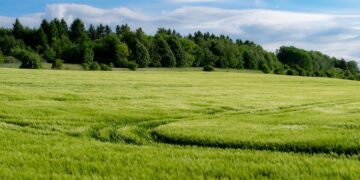 Замостяник Марія зникла – її знайшов тракторист у полі