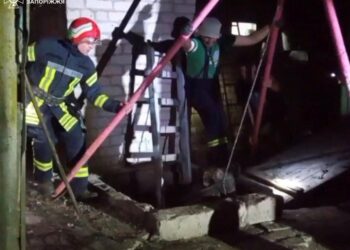 Запорізькі рятувальники дістали тварину з вигрібної ями – подробиці | Новости Запорожья