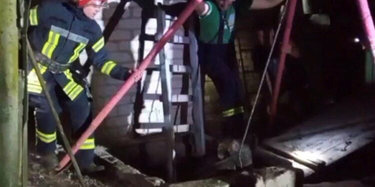 Запорізькі рятувальники дістали тварину з вигрібної ями – подробиці | Новости Запорожья