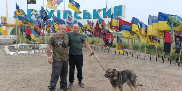 Запорізькі волонтери рятують бойового собаку, який постраждав під час вибуху | Новости Запорожья