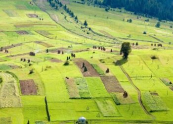 Озвучено обмеження за площами щодо набуття права власності на земельні ділянки – ЭКОНОМИКА