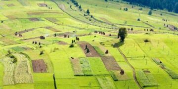 Озвучено обмеження за площами щодо набуття права власності на земельні ділянки – ЭКОНОМИКА