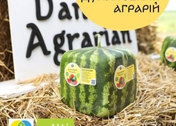 Мін’юст підтримав Дунайського Аграрія у справі про рейдерське захоплення – ЭКОНОМИКА