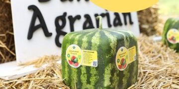 Мін’юст підтримав Дунайського Аграрія у справі про рейдерське захоплення – ЭКОНОМИКА