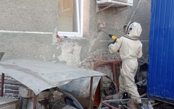 3 гнізда шершнів знешкодили на території АТП у Тернополі