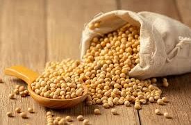 Україна збільшує експорт сої – ЭКОНОМИКА