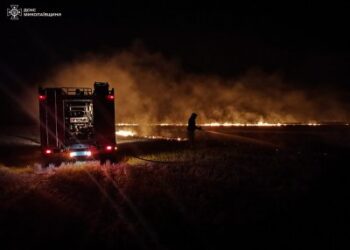 49 пожеж загальною площею майже 100 га за минулу добу як наслідок людської недбалості » Миколаївський Оглядач