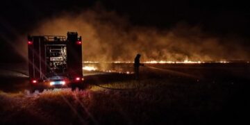 49 пожеж загальною площею майже 100 га за минулу добу як наслідок людської недбалості » Миколаївський Оглядач