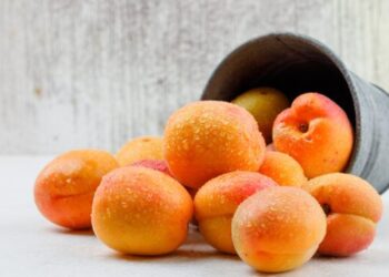 Молдова запровадила багаторазові лотки для експорту фруктів – ЭКОНОМИКА