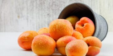 Молдова запровадила багаторазові лотки для експорту фруктів – ЭКОНОМИКА