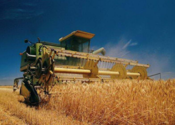 Названо регіони-лідери за збором та врожайністю ранніх зернових – ЭКОНОМИКА