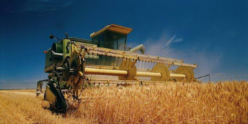 Названо регіони-лідери за збором та врожайністю ранніх зернових – ЭКОНОМИКА