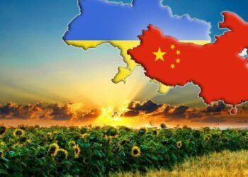 Китай має намір нарощувати імпорт зерна з України  – ЭКОНОМИКА