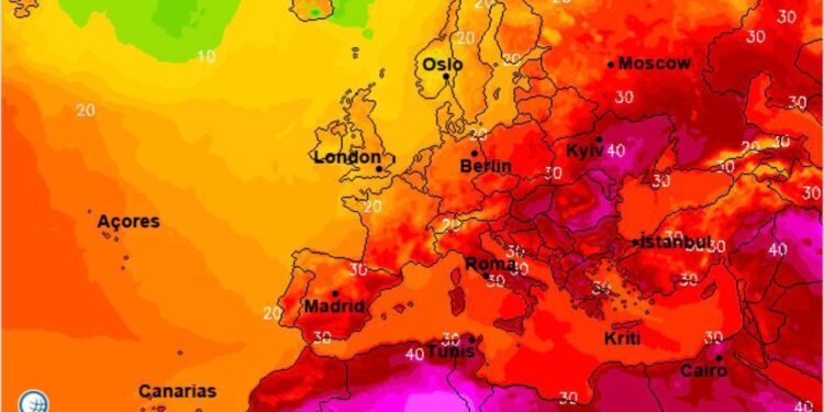 У Запоріжжі та області триває спека: підвищена пожежна небезпека | Новини Запоріжжя
