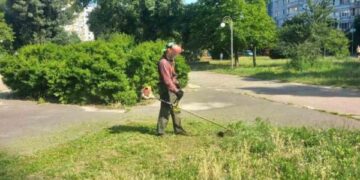 Черкаські парки комунальники обробили гербіцидами проти амброзії — Новости Черкасс