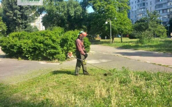 Черкаські парки комунальники обробили гербіцидами проти амброзії — Новости Черкасс