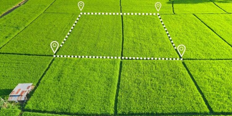 Ділянку за 440 млн грн повернули Кременецькій громаді