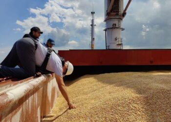 Росія планує збільшити потужність порту Маріуполя для вивезення нового врожаю з окупованих територій – ЭКОНОМИКА