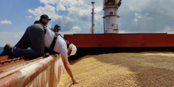 Росія планує збільшити потужність порту Маріуполя для вивезення нового врожаю з окупованих територій – ЭКОНОМИКА