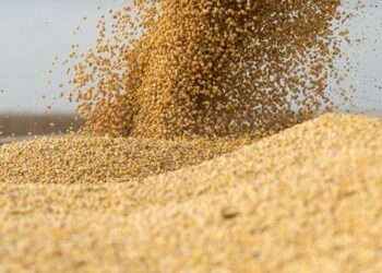 Експортера сої на Одещині змусили сплатити 11 мільйонів