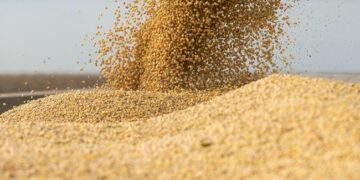 Експортера сої на Одещині змусили сплатити 11 мільйонів