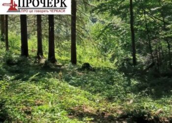 Комунальному підприємству Черкас передали ботанічну пам’ятку — Новости Черкасс