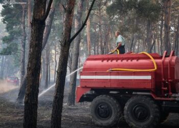 “Миколаївщина у вогні:” минулої доби виникло 37 пожеж, в більшості випадків горів сухостій » Миколаївський Оглядач