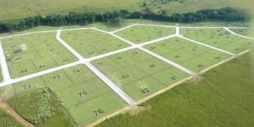 На Миколаївщині землі гімназії на понад мільйон гривень віддали в оренду :: Інтент :: Новини Одеси, Миколаєва, Херсона