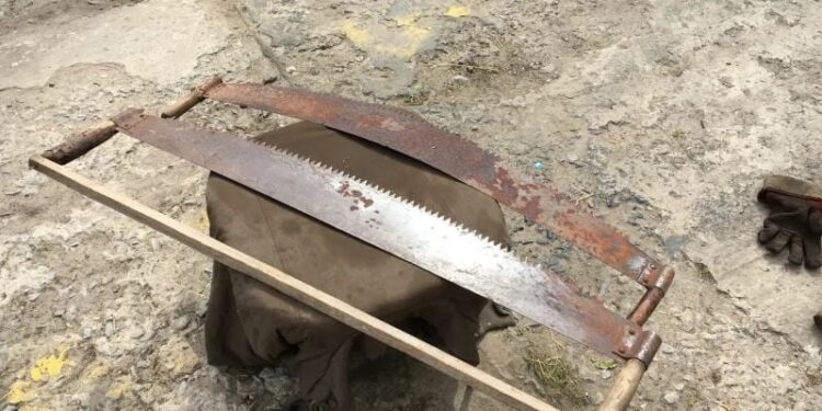 На пенсіонерку впала сосна, яку за її проханням зрізали односельці —Хмельнитчина