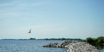 На захисну дамбу для берега Кременчуцького водосховища виділять 26 млн грн