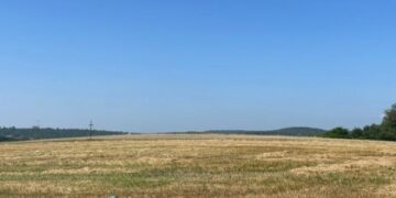 Невідомі аграрії зібрали половину врожаю зі 120 захоплених гектарів біля Львова