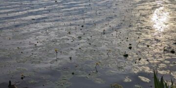 Погода у Тернополі 22-28 липня – буде хмарно і з дощами