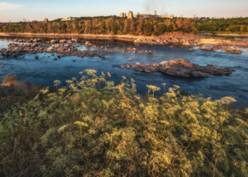 Погода в Запоріжжі в серпні 2024 року – синоптики спрогнозували, яким буде останній місяць літа | Новости Запорожья