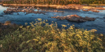 Погода в Запоріжжі в серпні 2024 року – синоптики спрогнозували, яким буде останній місяць літа | Новости Запорожья